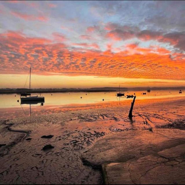 Rockhopper Cottage, Waldringfield Woodbridge Eksteriør bilde